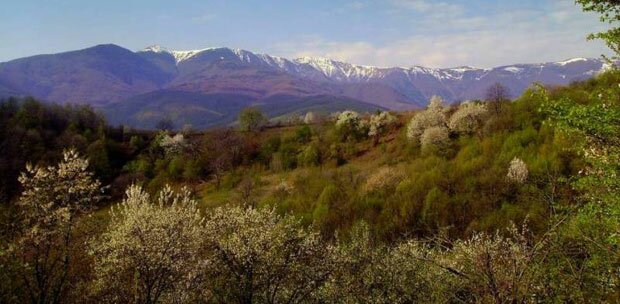 Берковски балкан Берковски балкан